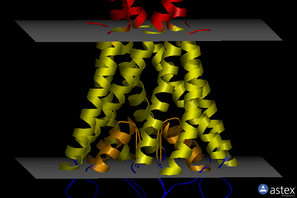 Membrane view of 6w0i