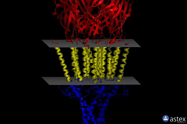 Membrane view of 6w1m
