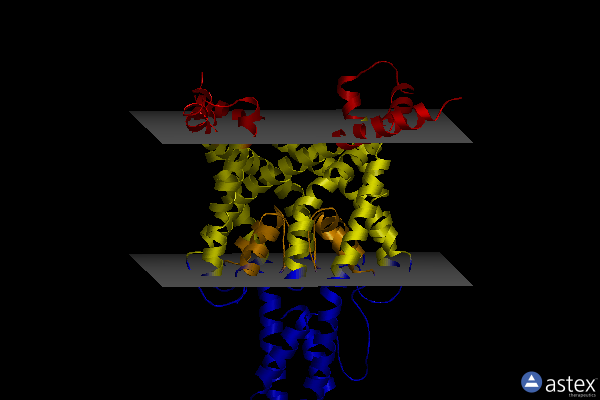 Membrane view of 6w84