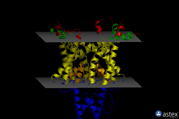 Membrane view of 6w8a