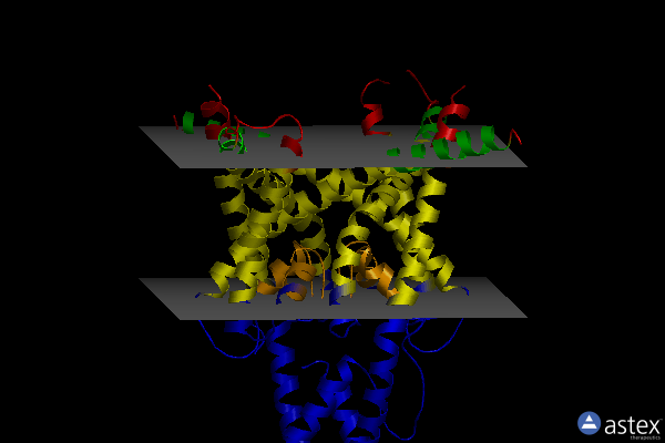 Membrane view of 6w8c