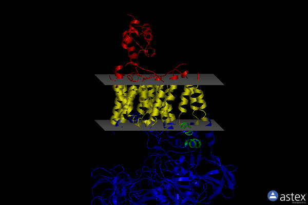 6w98