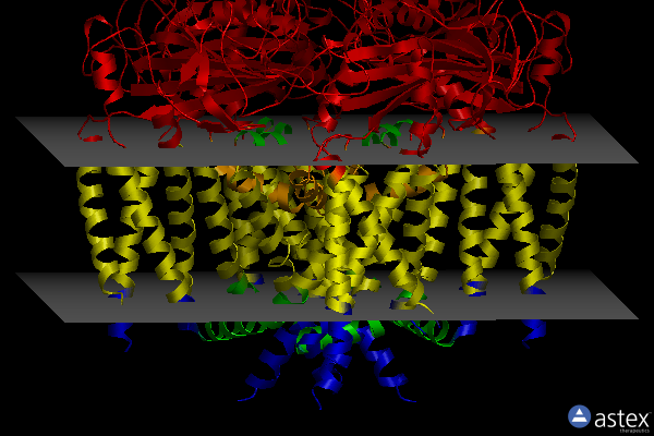 Membrane view of 6wb8