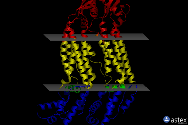 Membrane view of 6wbn