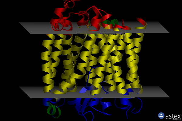 Membrane view of 6wbv