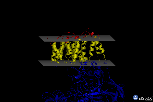 Membrane view of 6wbx