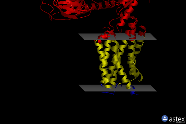 Membrane view of 6wha