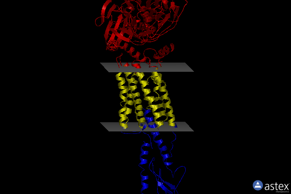 Membrane view of 6whc