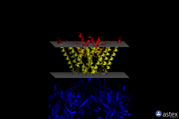 Membrane view of 6whu