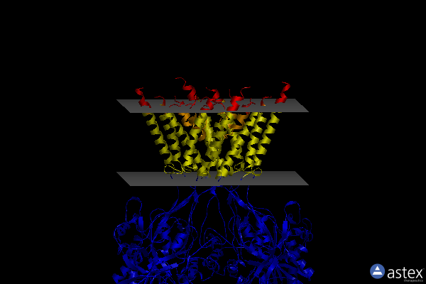 Membrane view of 6whw