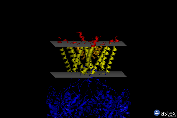 Membrane view of 6wi1