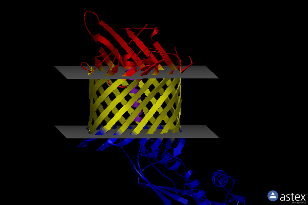 Membrane view of 6wil