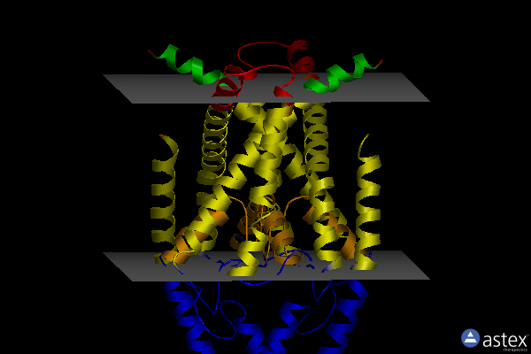 Membrane view of 6wm0