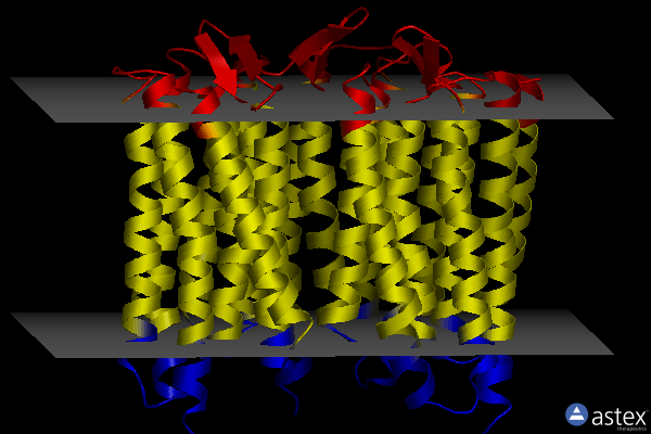 Membrane view of 6wp8