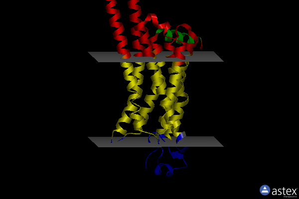 Membrane view of 6wqa