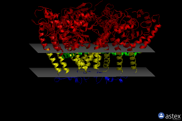 Membrane view of 6wr4