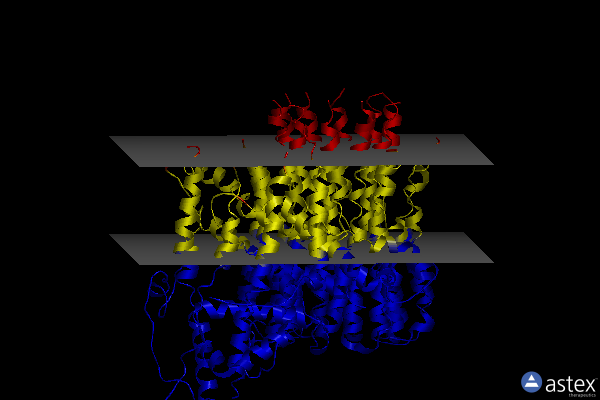 Membrane view of 6wtd