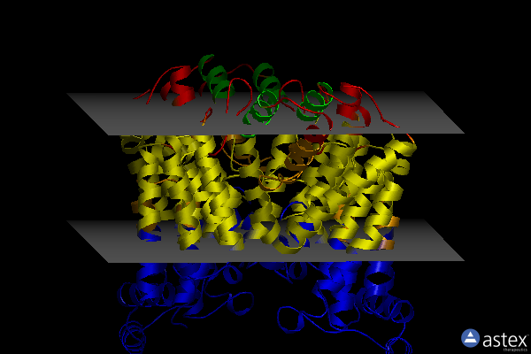 Membrane view of 6wu2