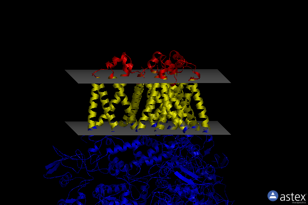 Membrane view of 6wu6