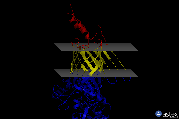 Membrane view of 6wun
