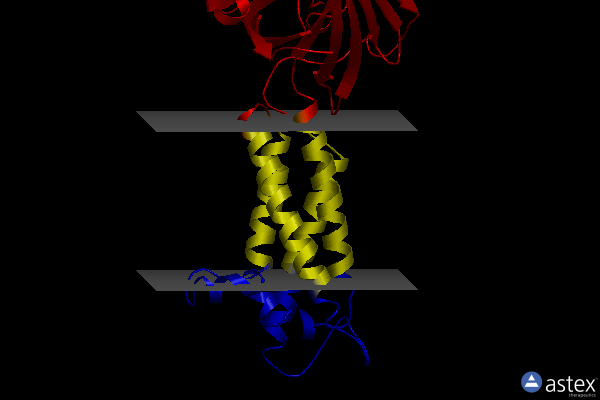 Membrane view of 6wv3