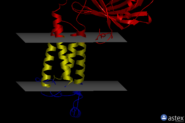 Membrane view of 6wv9