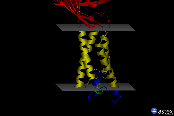 Membrane view of 6wvh