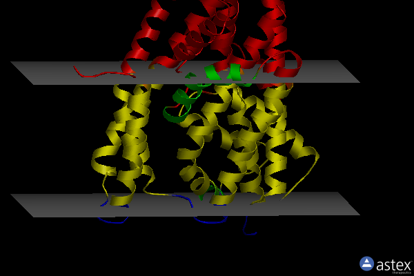 Membrane view of 6wyj