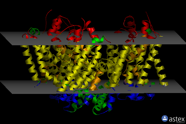 Membrane view of 6wyl