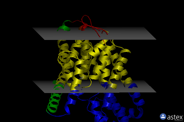 Membrane view of 6x13