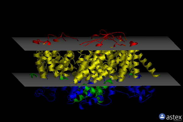 Membrane view of 6x14