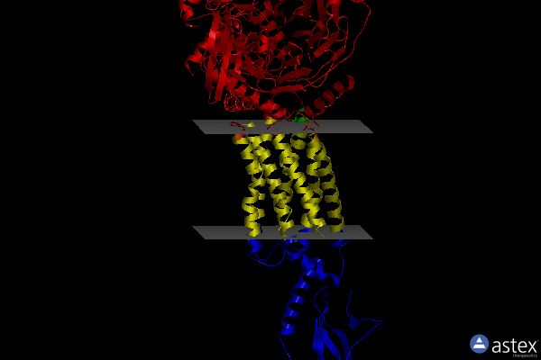 Membrane view of 6x1a
