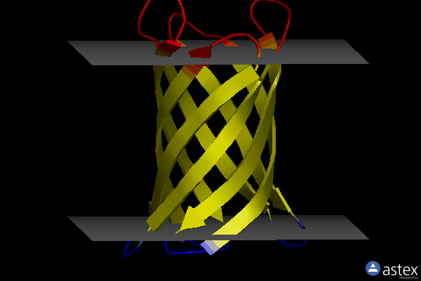 Membrane view of 6x1k