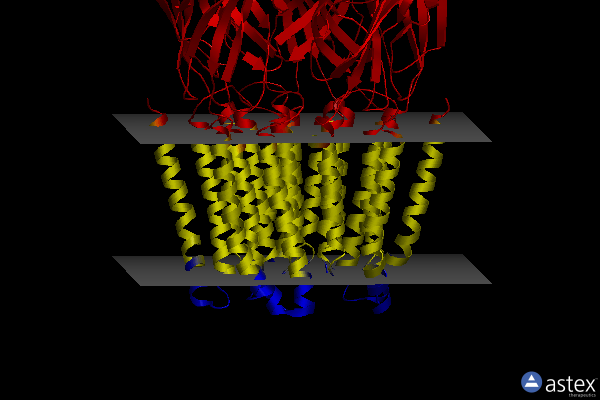 Membrane view of 6x3v