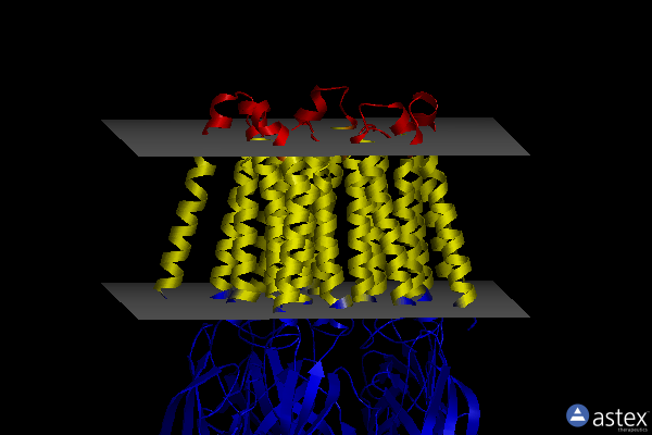 Membrane view of 6x3w