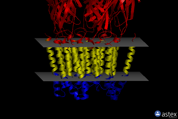 Membrane view of 6x3z
