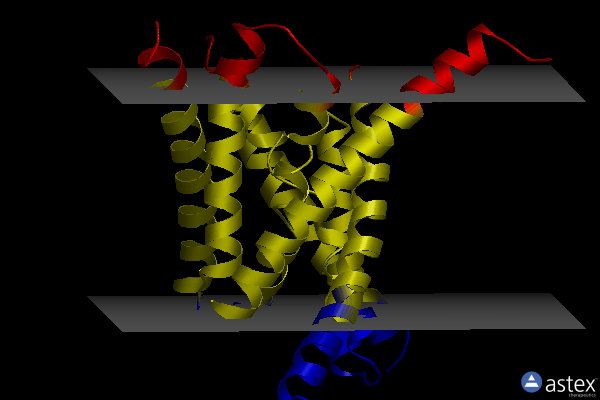 Membrane view of 6x58