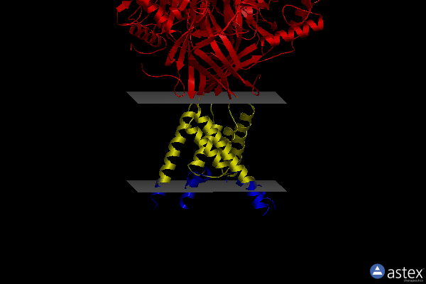 Membrane view of 6x9h