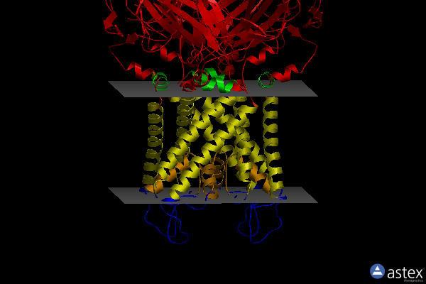 Membrane view of 6xeu