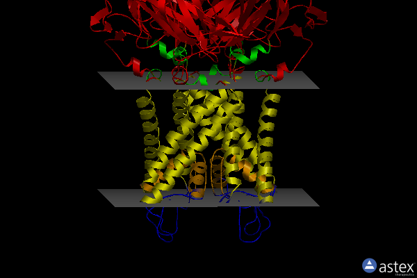 Membrane view of 6xit