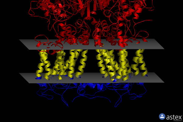 Membrane view of 6xkt