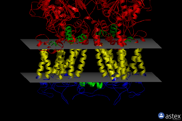 Membrane view of 6xkv