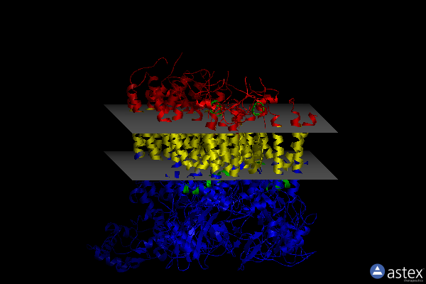 Membrane view of 6xkx