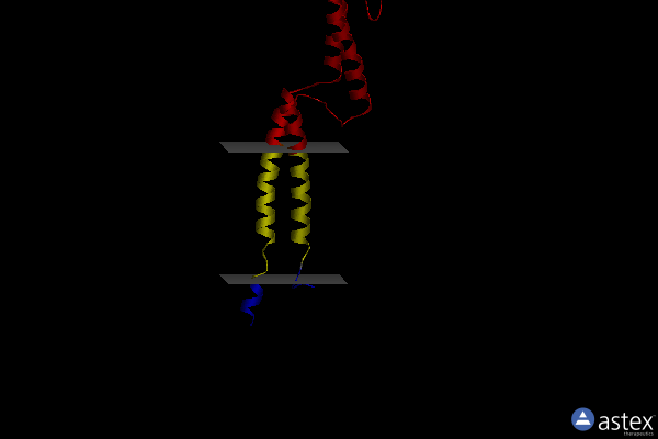 Membrane view of 6xky