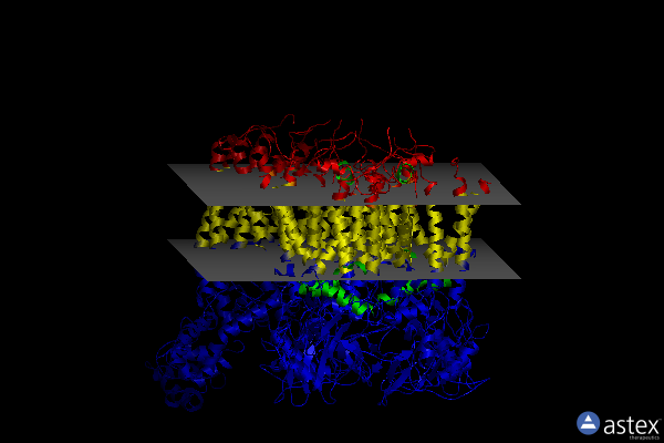 Membrane view of 6xkz