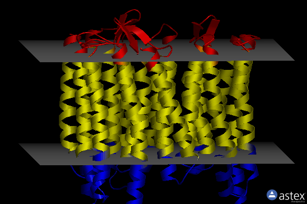 Membrane view of 6xl3