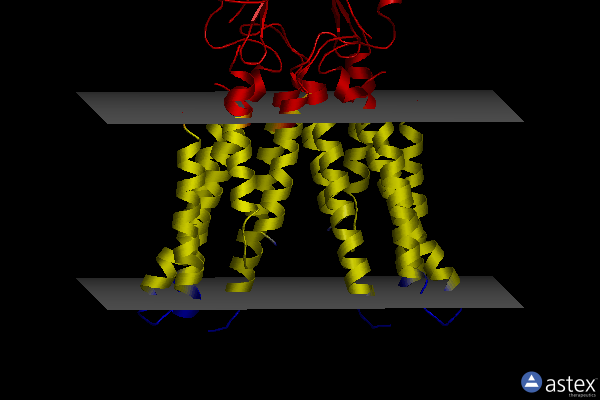 Membrane view of 6xpe