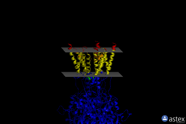 Membrane view of 6xsr