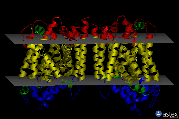 Membrane view of 6xwm