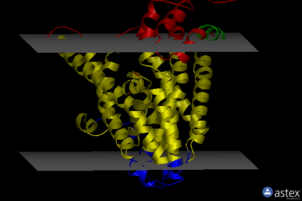 Membrane view of 6xwp